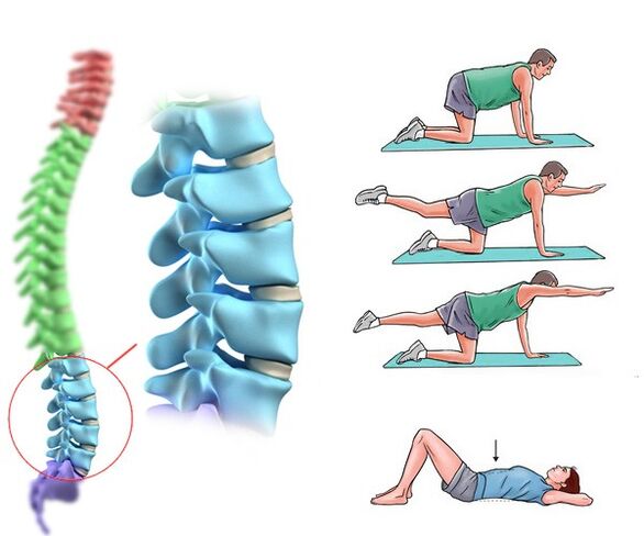 Physiotherapie und Massage